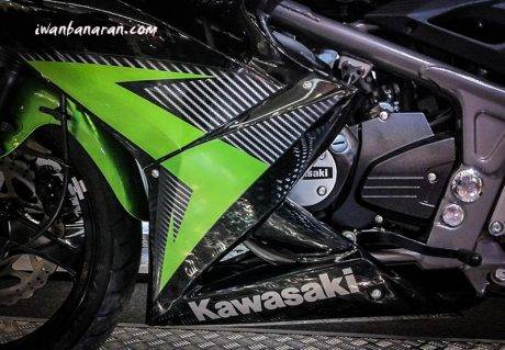 Kawasaki Ninja150RR (5)