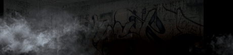 460x110